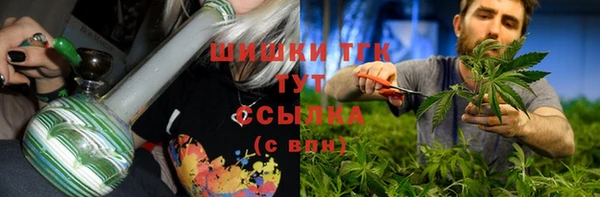 гидра Арсеньев