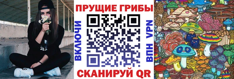 Галлюциногенные грибы Psilocybine cubensis Спасск-Дальний