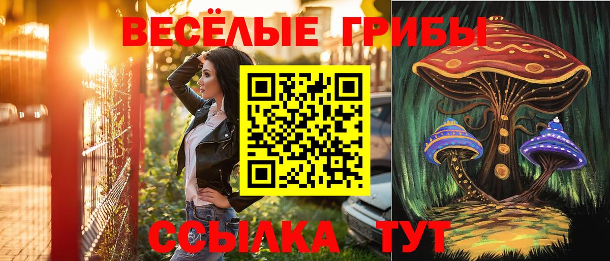 цена   Галлюциногенные грибы GOLDEN TEACHER  Галлюциногенные грибы прущие грибы  Вход с VPN  Спасск-Дальний 
